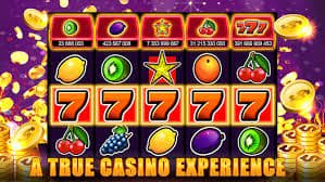 c333 bet